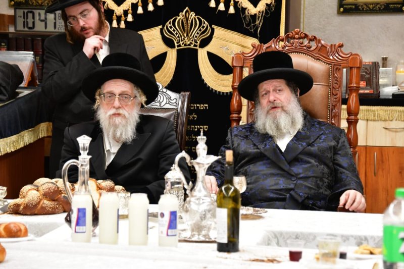 יוסי לוי
