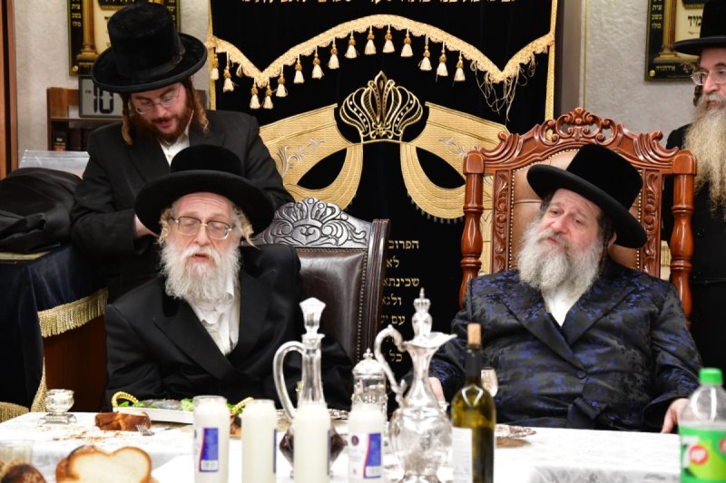 יוסי לוי