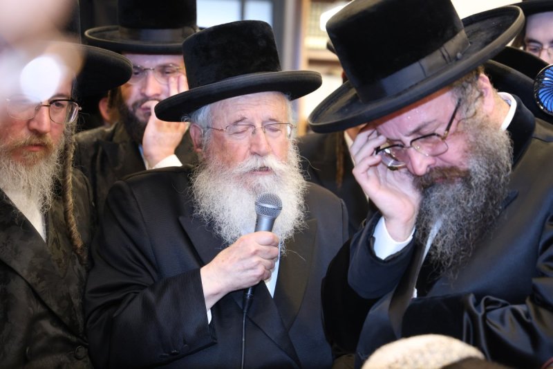 שלומי טריכטר