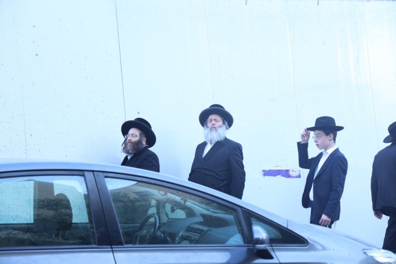 שלומי טריכטר