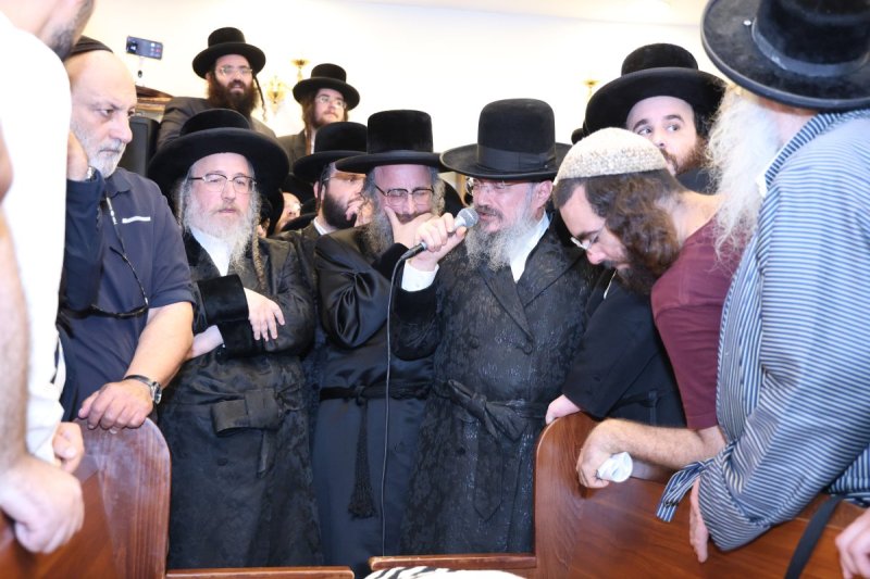 שלומי טריכטר