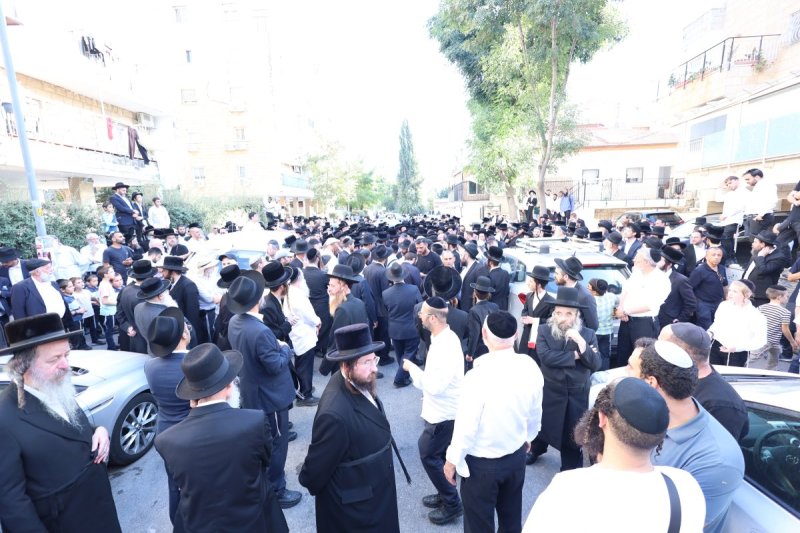שלומי טריכטר