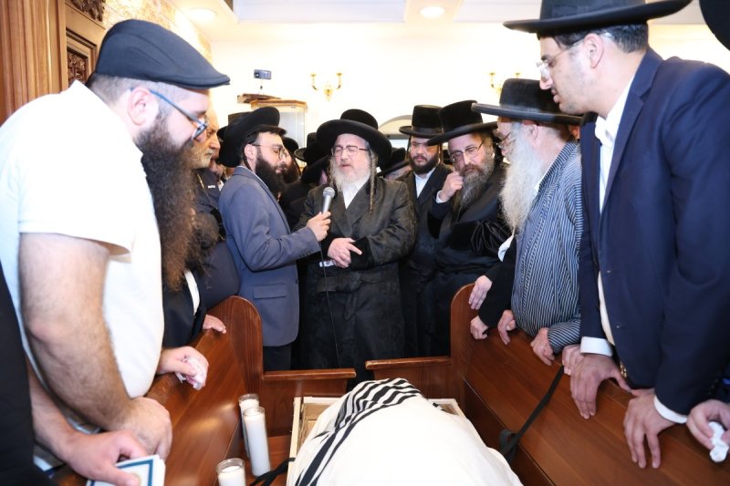 שלומי טריכטר