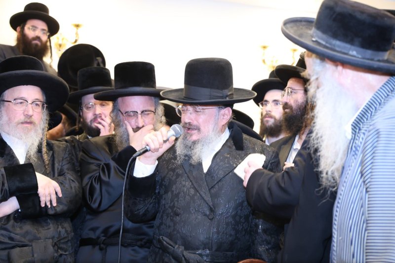 שלומי טריכטר