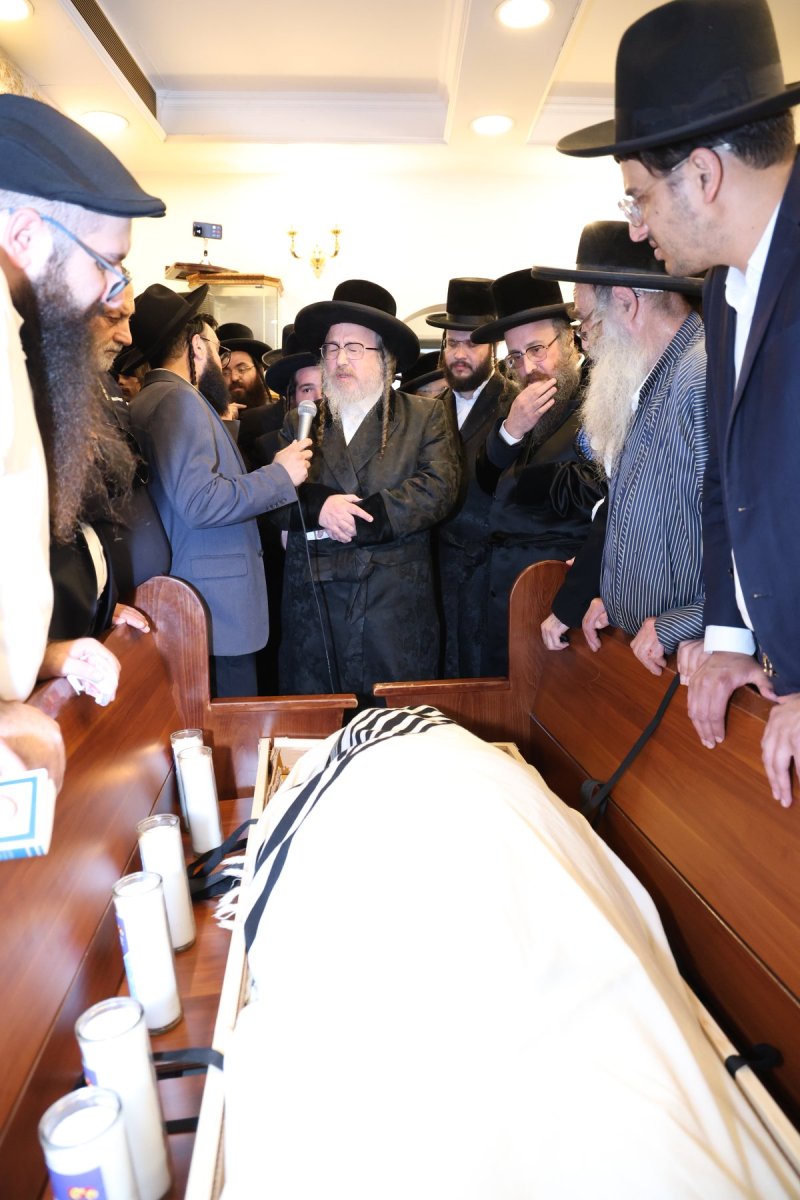 שלומי טריכטר