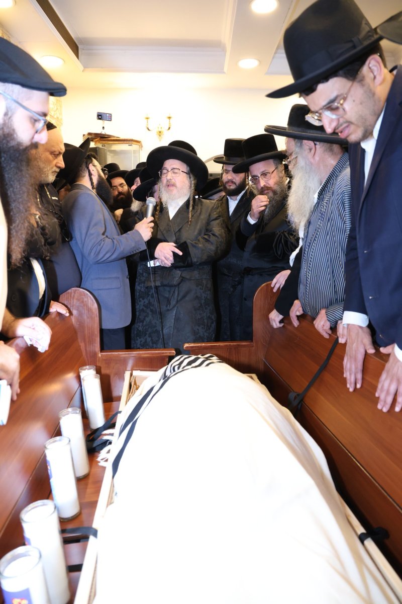 שלומי טריכטר