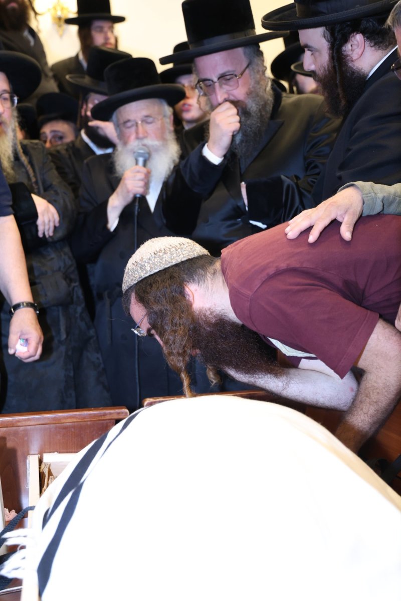 שלומי טריכטר
