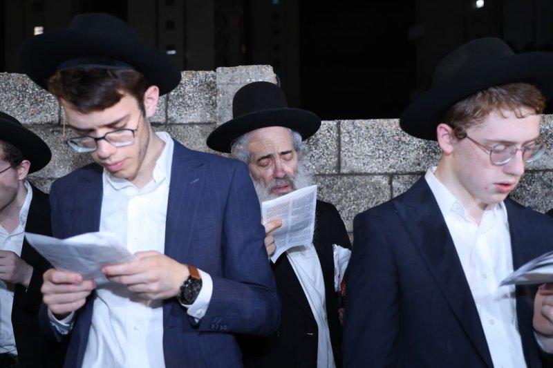 נתי פרל