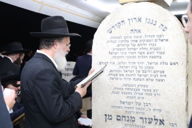 נתי פרל