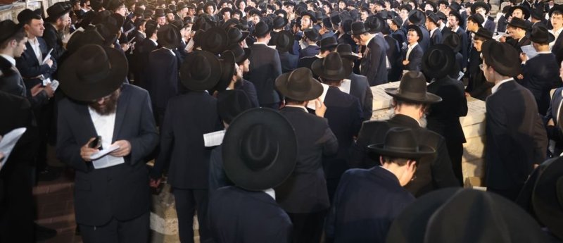 נתי פרל