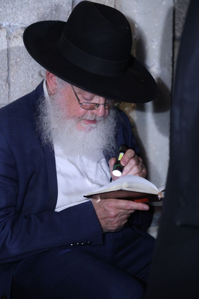נתי פרל