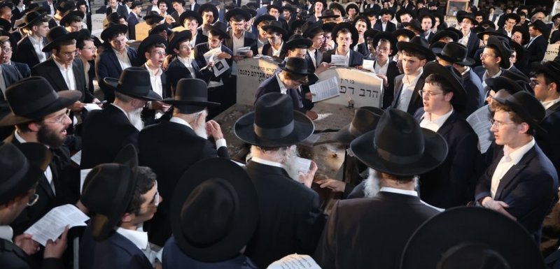 נתי פרל