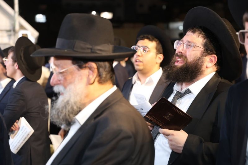 נתי פרל