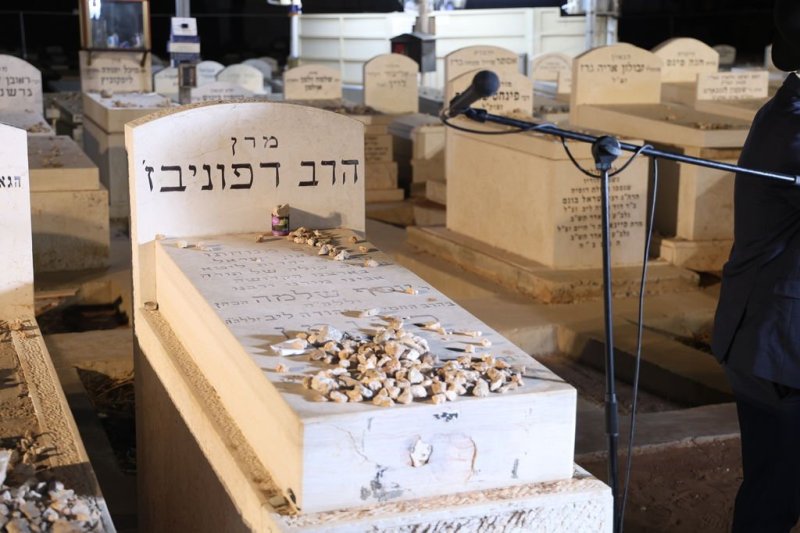 נתי פרל