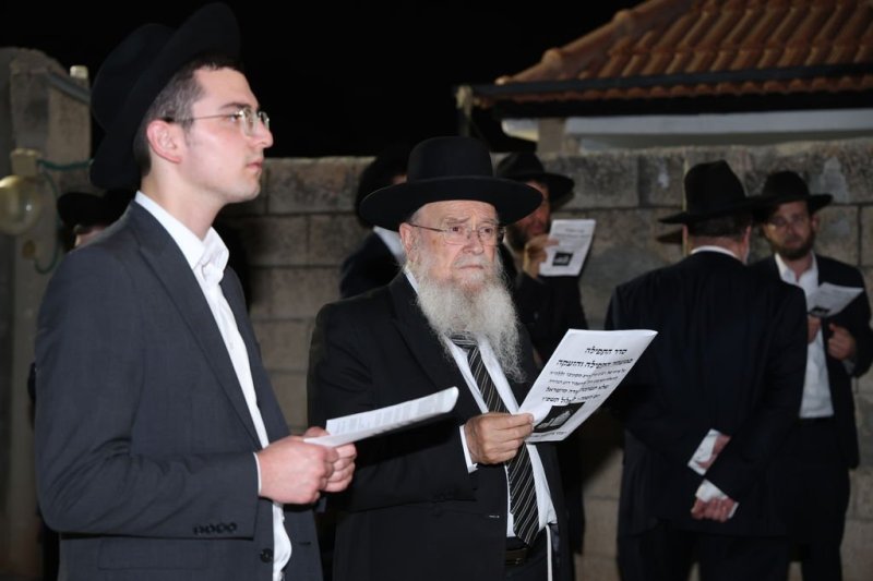 נתי פרל