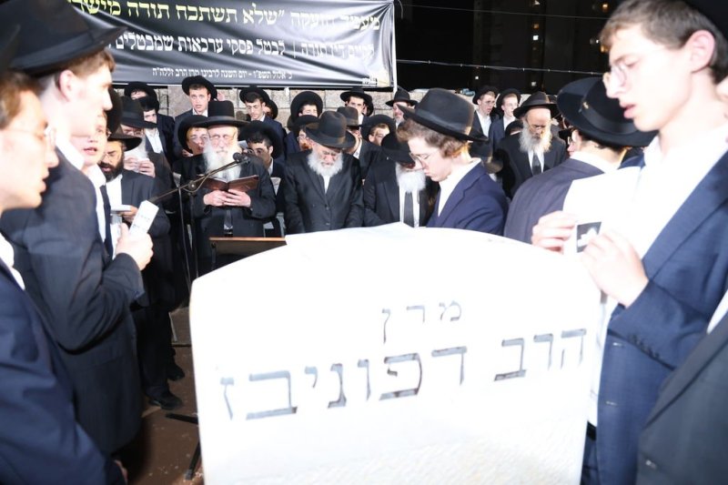 נתי פרל