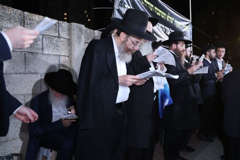 נתי פרל