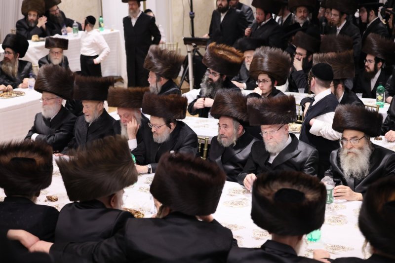 שלמה ב.