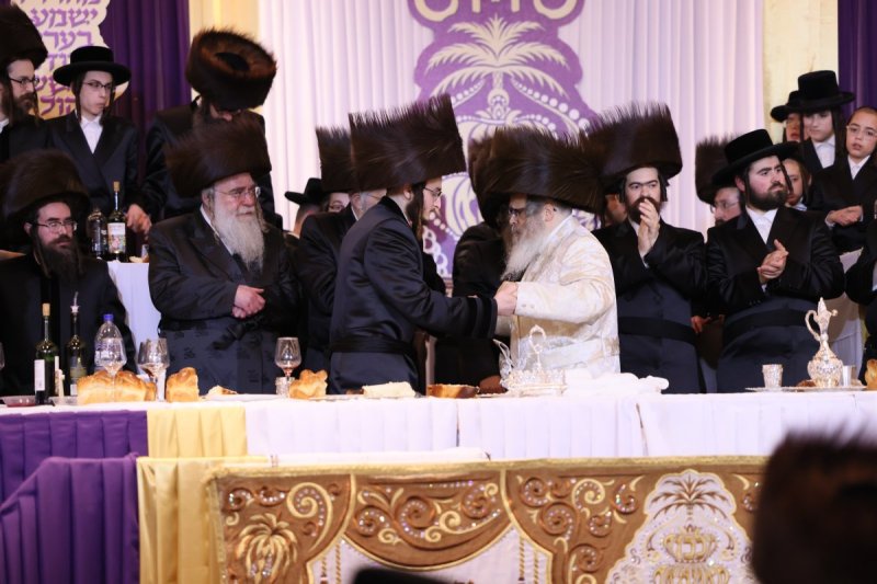 שלמה ב.