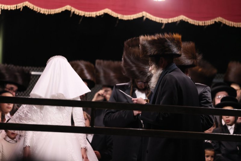 שלמה ב.