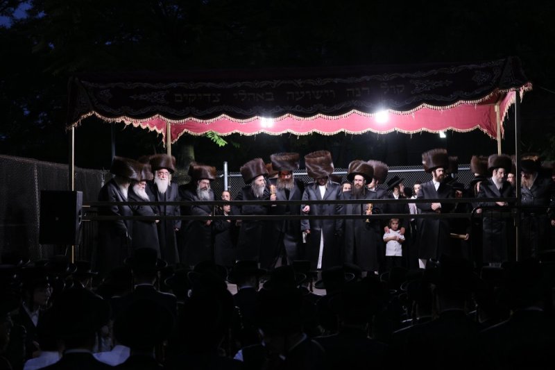 שלמה ב.