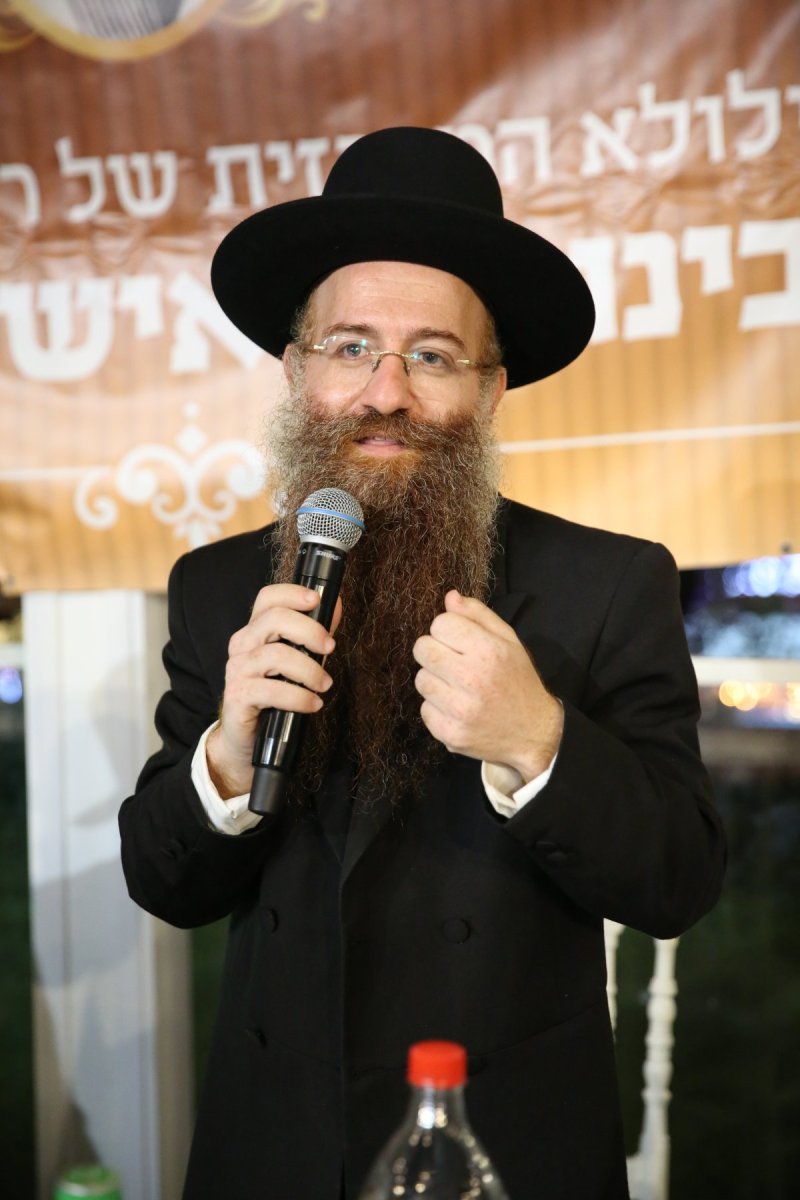 דוד קשת