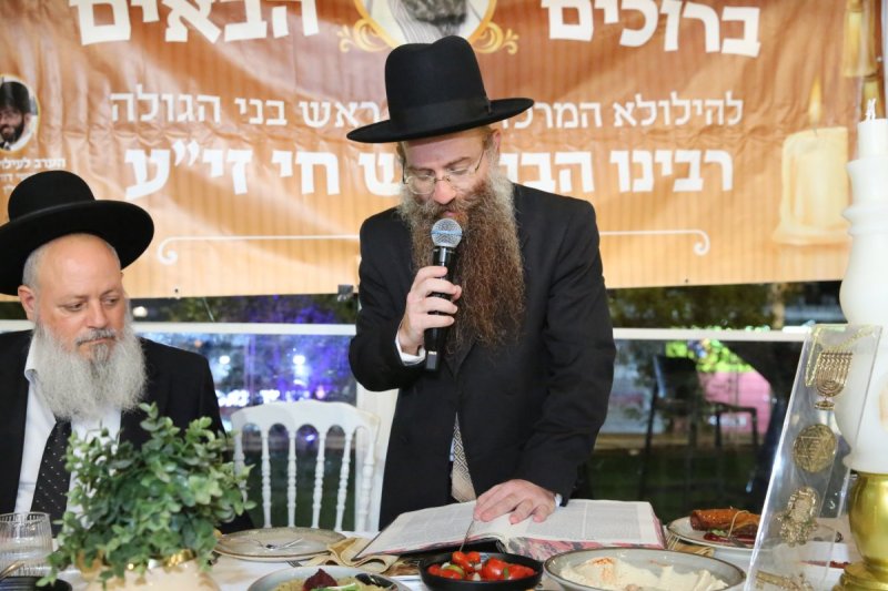 דוד קשת