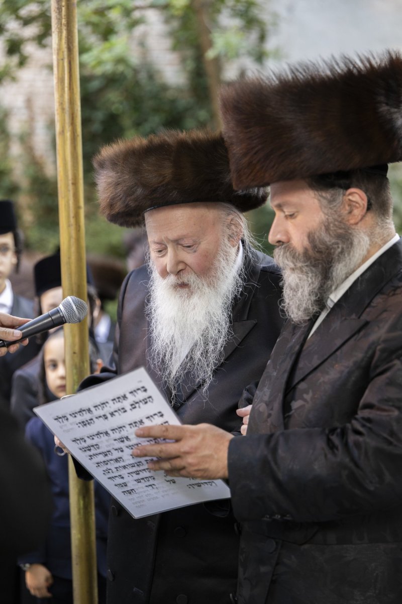 דוד ברנל