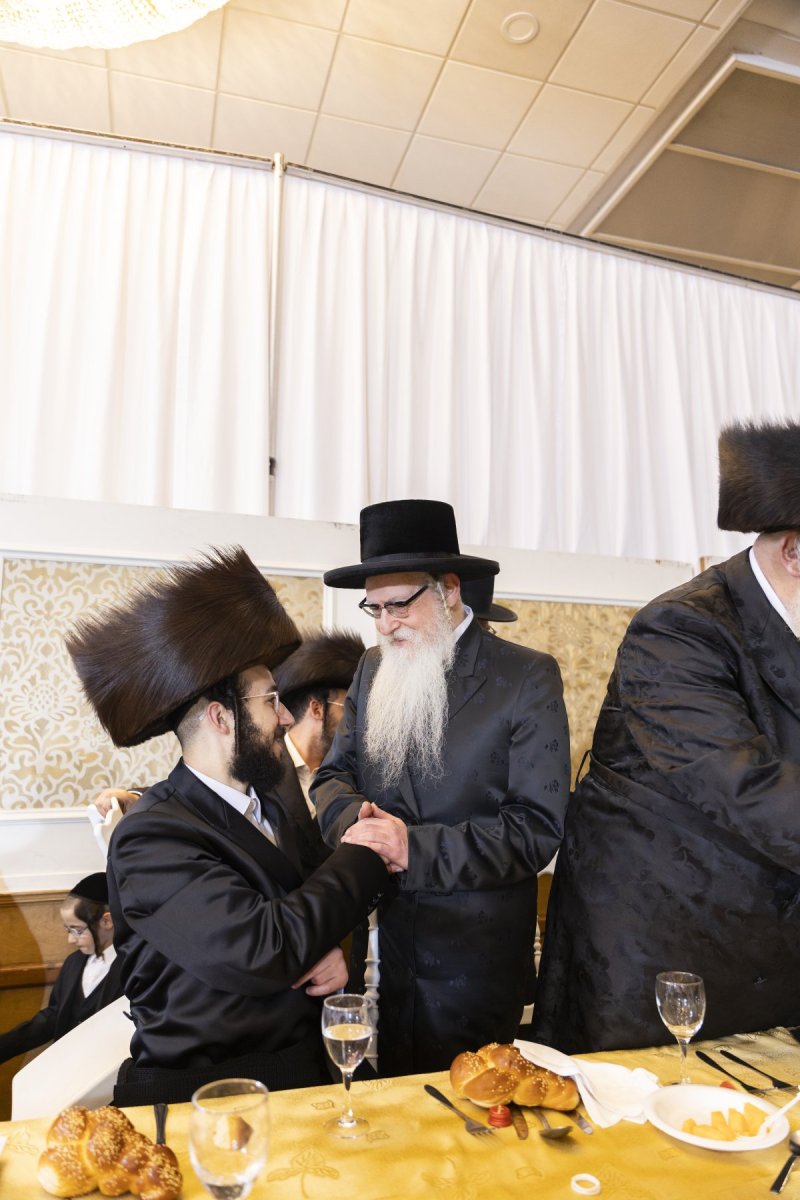דוד ברנל