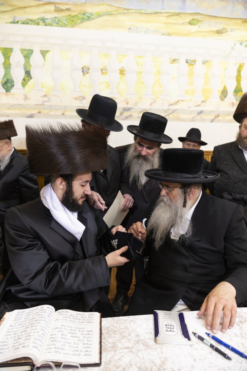 דוד ברנל
