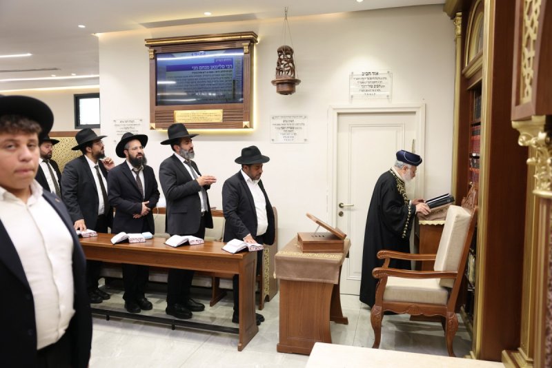 יעקב כהן