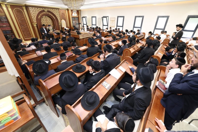 יעקב כהן