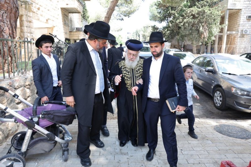 יעקב כהן