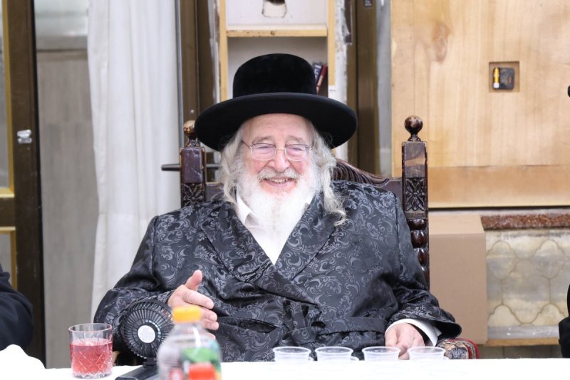 שלוימי טרייכטר