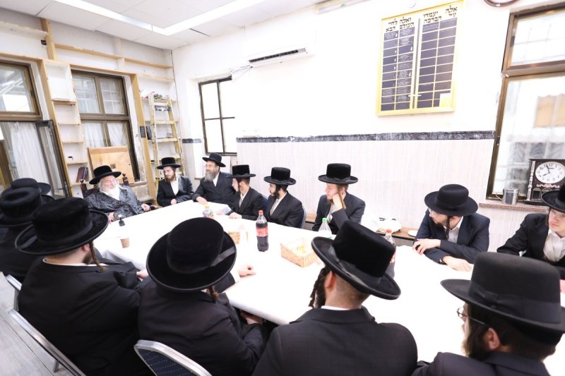 שלוימי טרייכטר