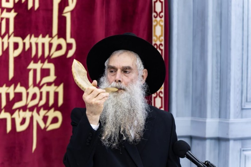 אנדריי בויץ