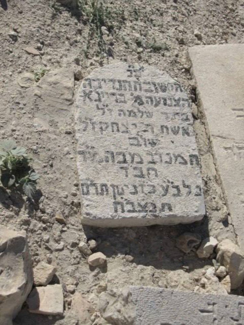 אנדריי בויץ
