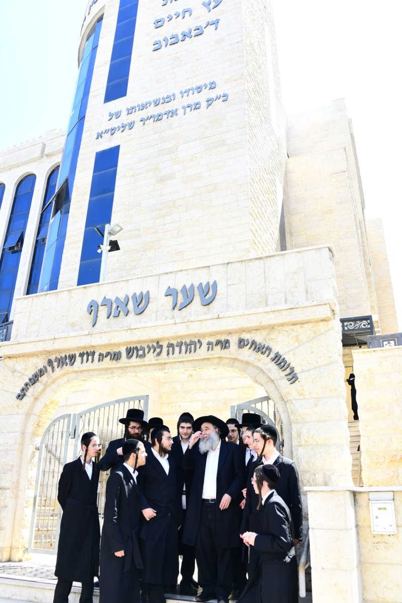 שוקי לרר