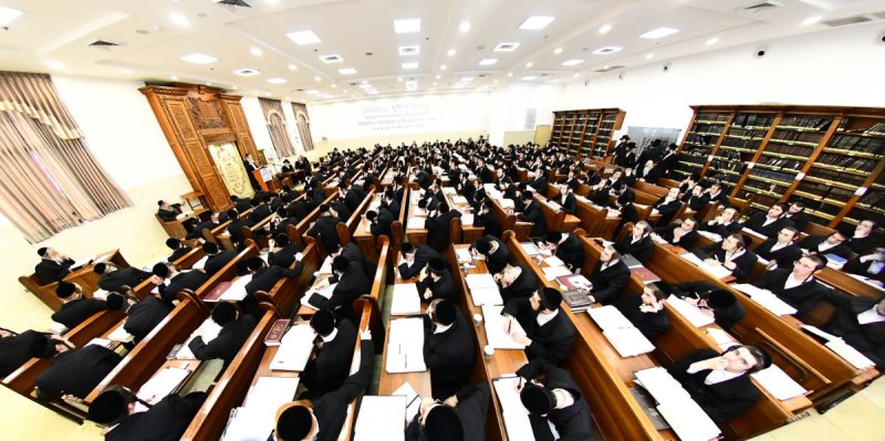 שוקי לרר