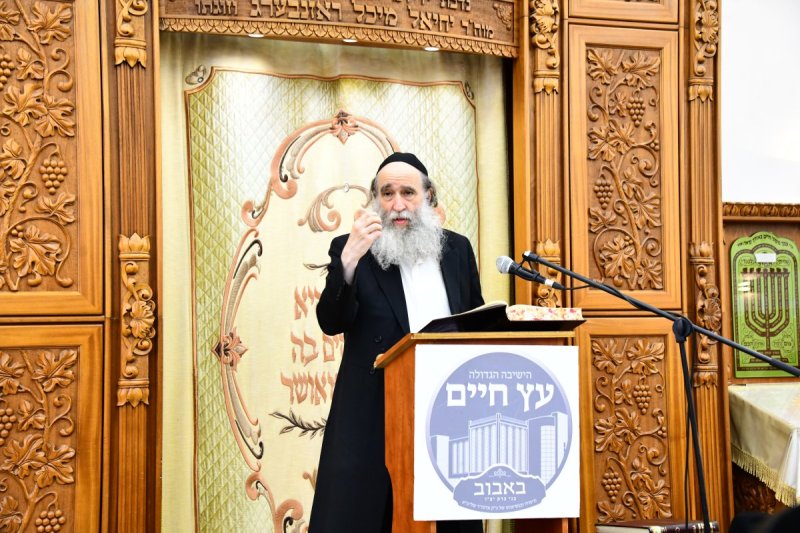 שוקי לרר
