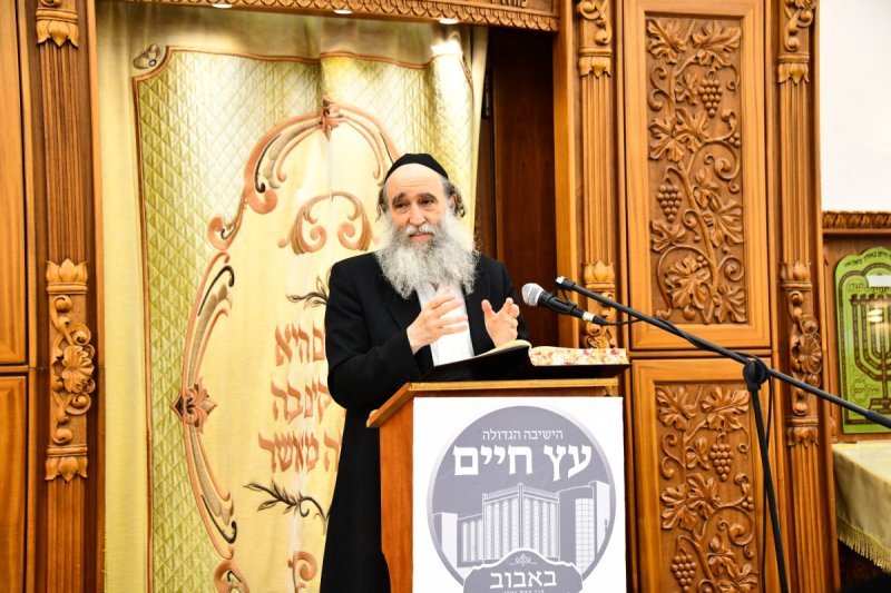 שוקי לרר