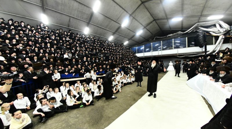שוקי לרר