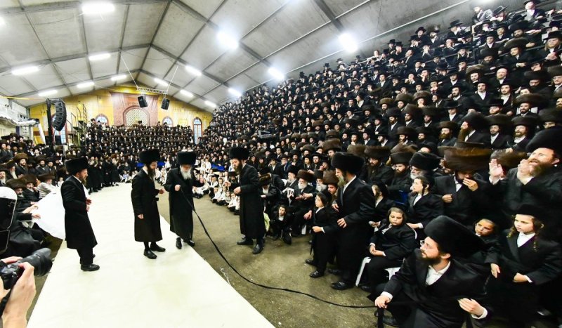 שוקי לרר