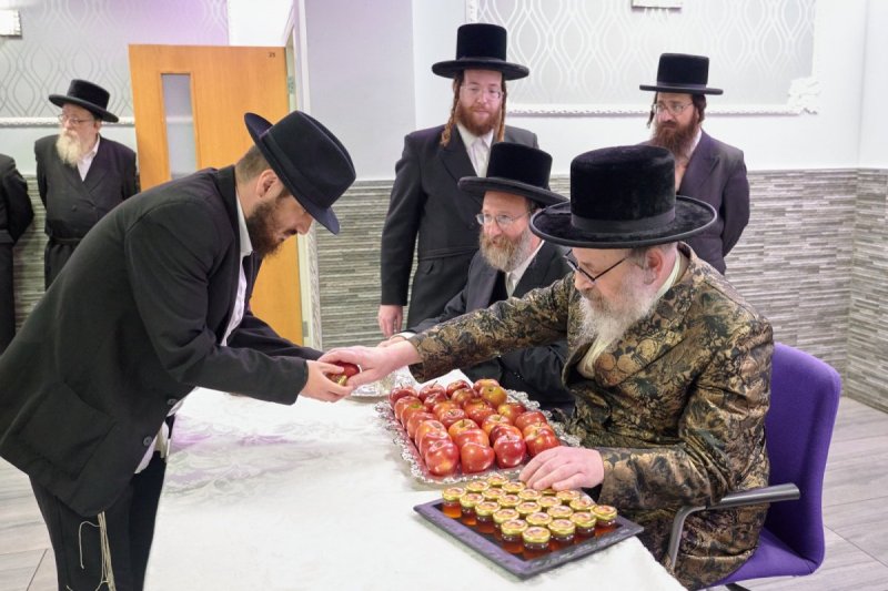 דודי בראון