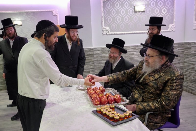 דודי בראון