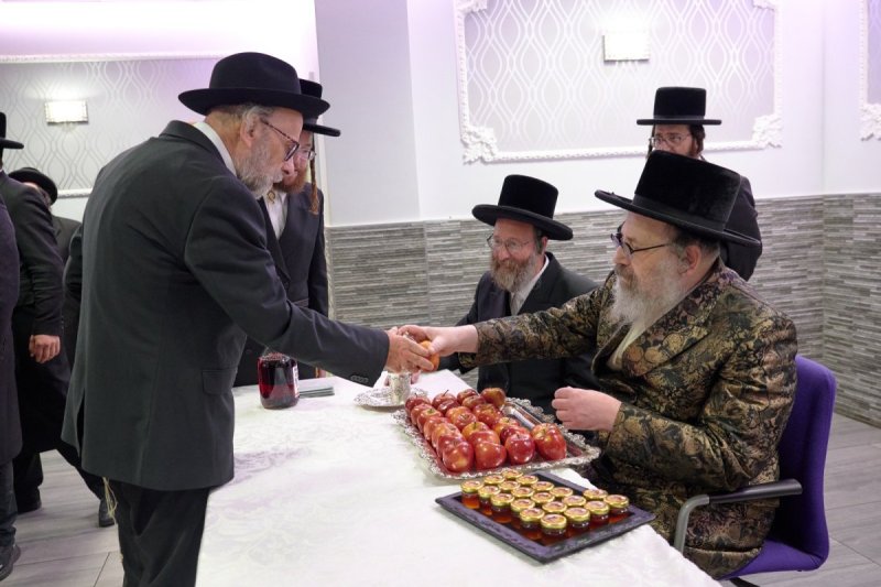 דודי בראון