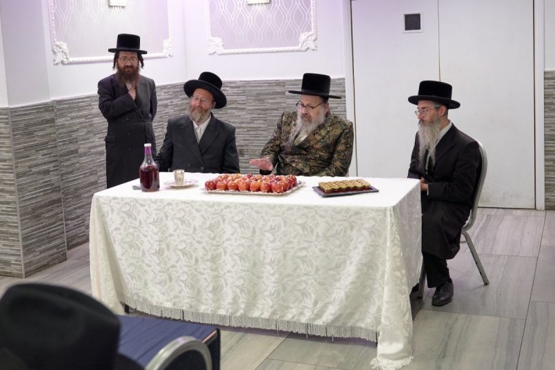 דודי בראון
