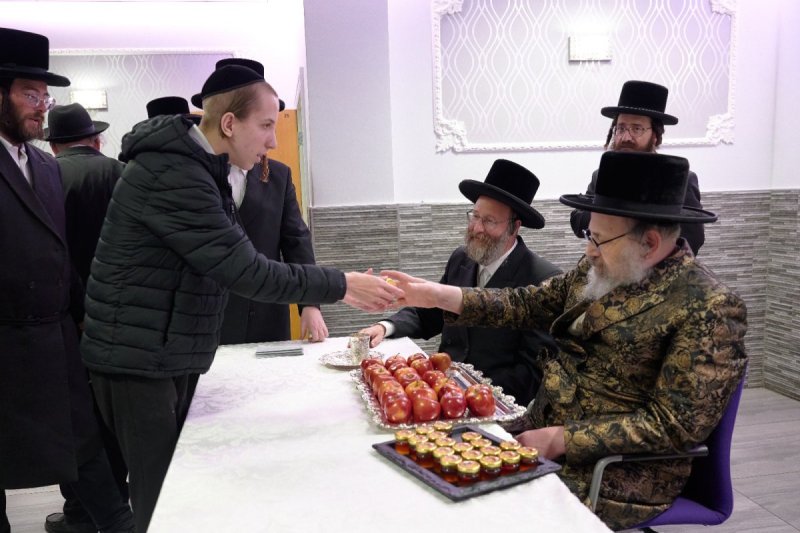 דודי בראון