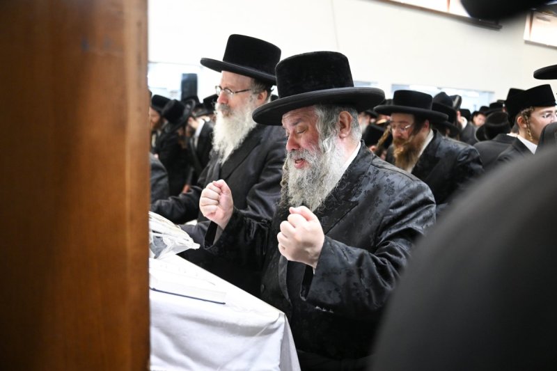 משה גולדשטיין