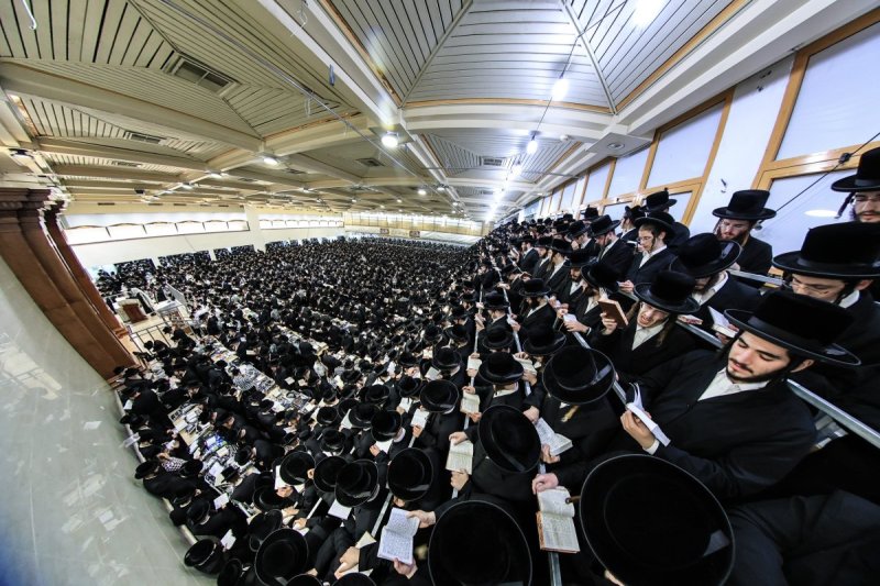 משה גולדשטיין